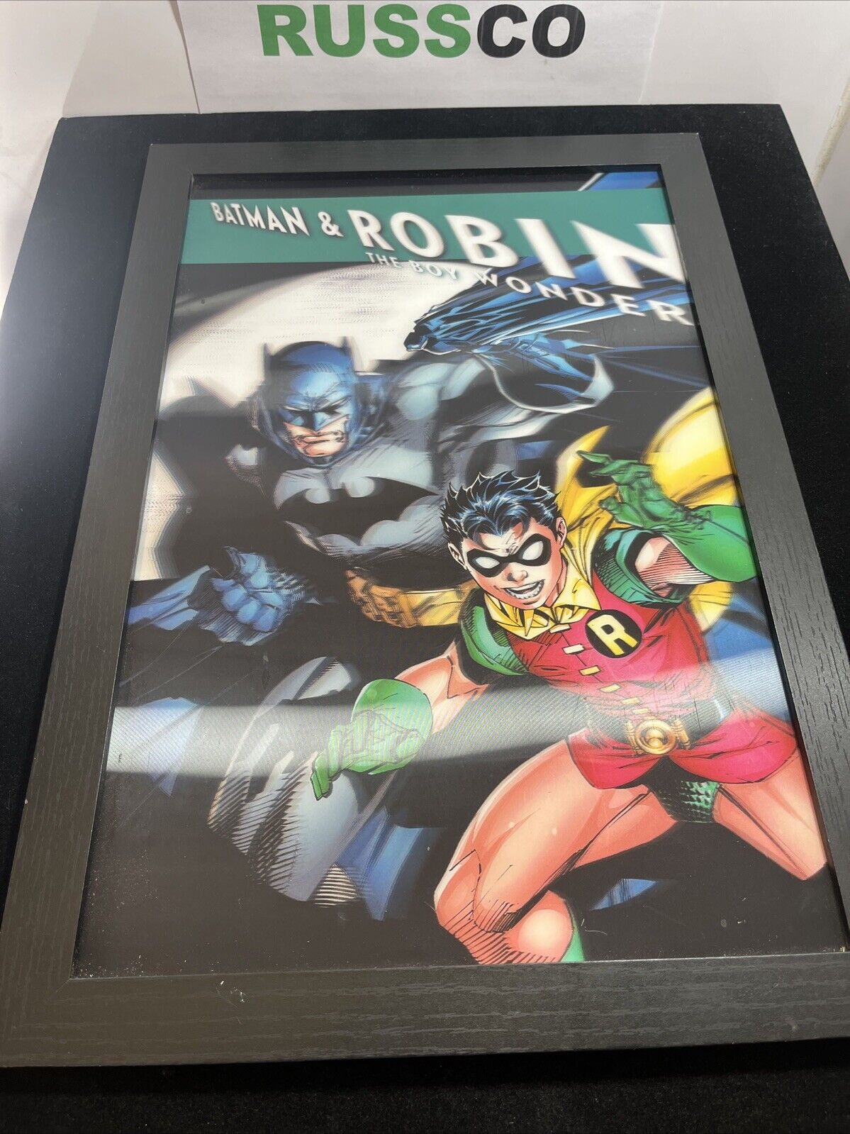 Batman And Robin COMIC WALLS 3D 17 3/4” 12 3/4”