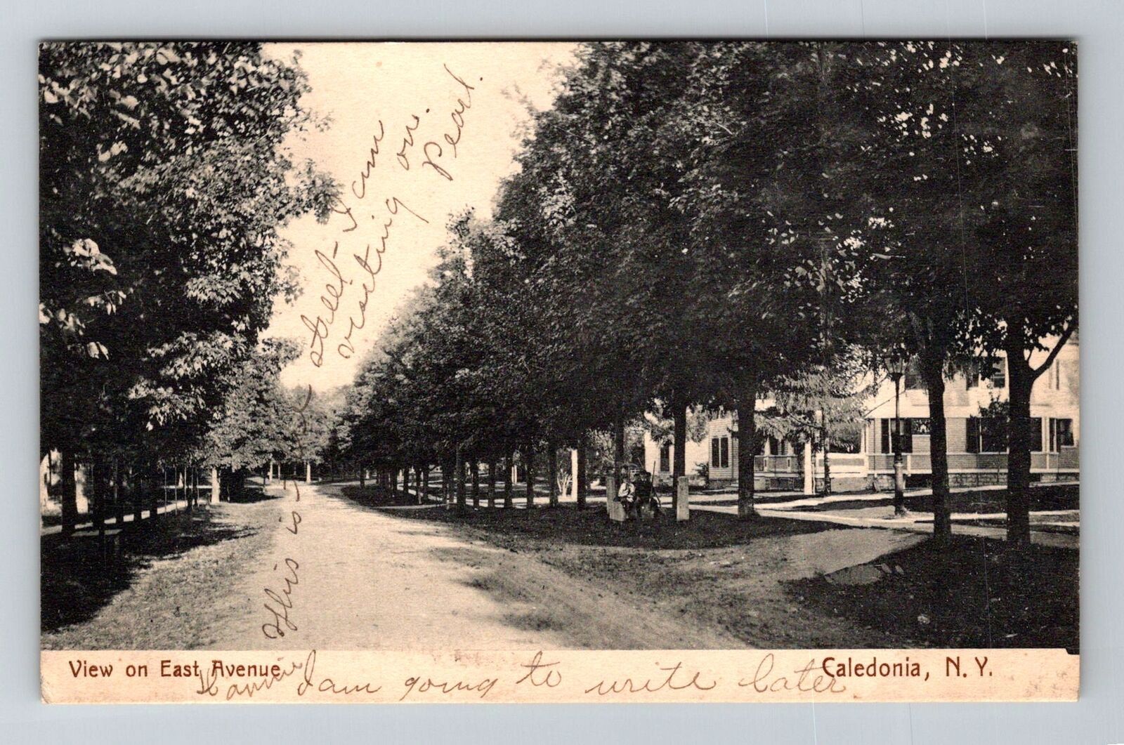 Caledonia NY-New York, View on East Avenue Vintage Souvenir Postcard