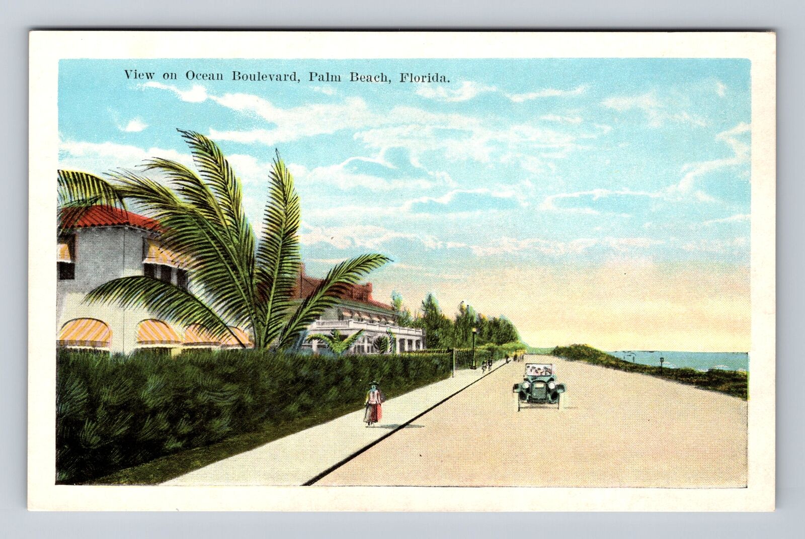 Palm Beach FL-Florida, Residential District, Ocean Boulevard Vintage Postcard