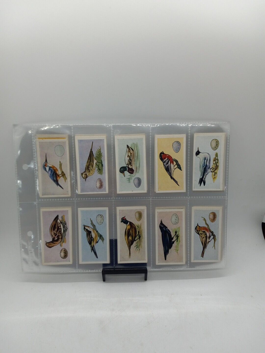 1958 Swettenhams Birds & Their Eggs Set of 25 Cards