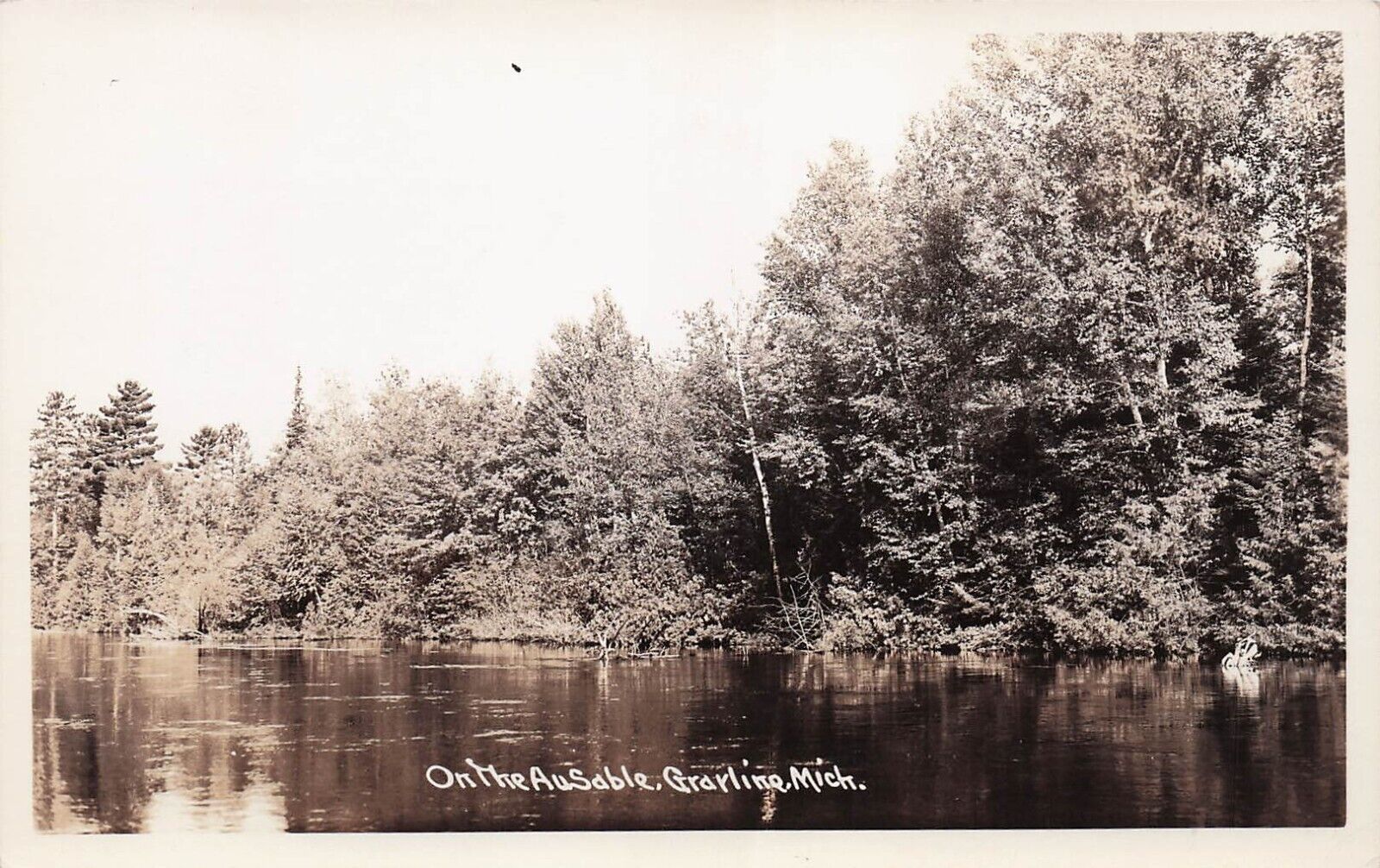 RPPC Grayling MI Michigan Hartwick Pines Park Au Sable River Photo Postcard E7