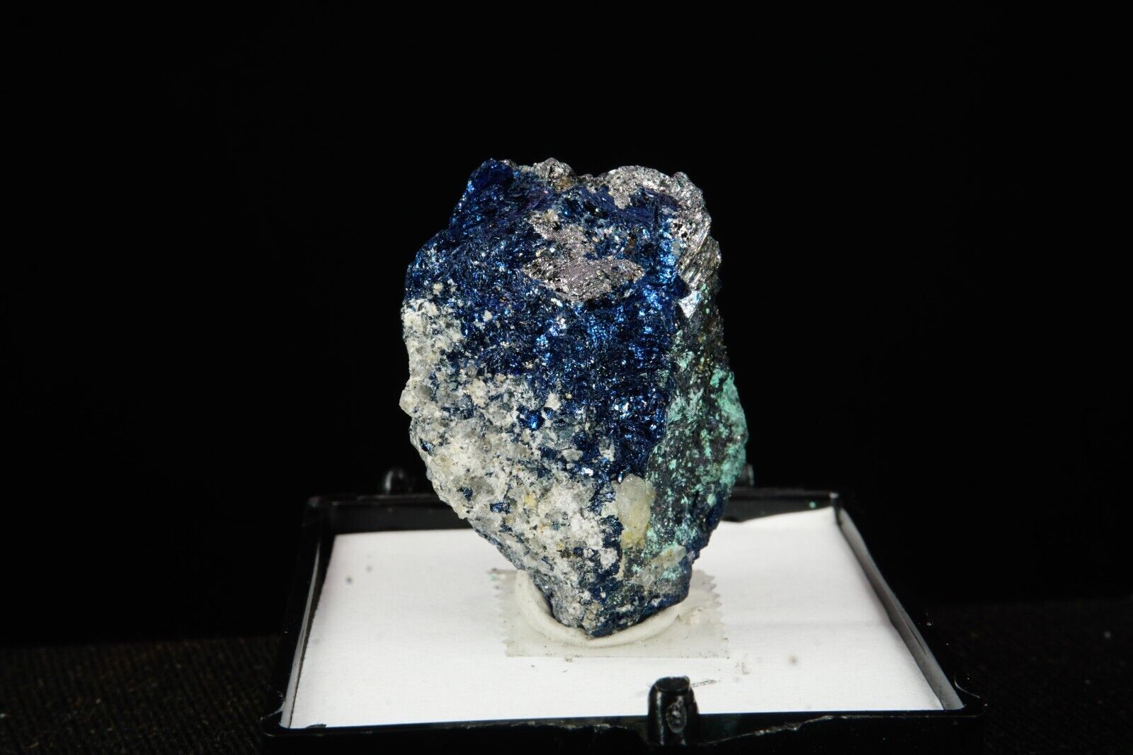 Covellite & Pyrite / Rare Thumbnail Mineral Specimen / Leonard Mine, Butte, Mont