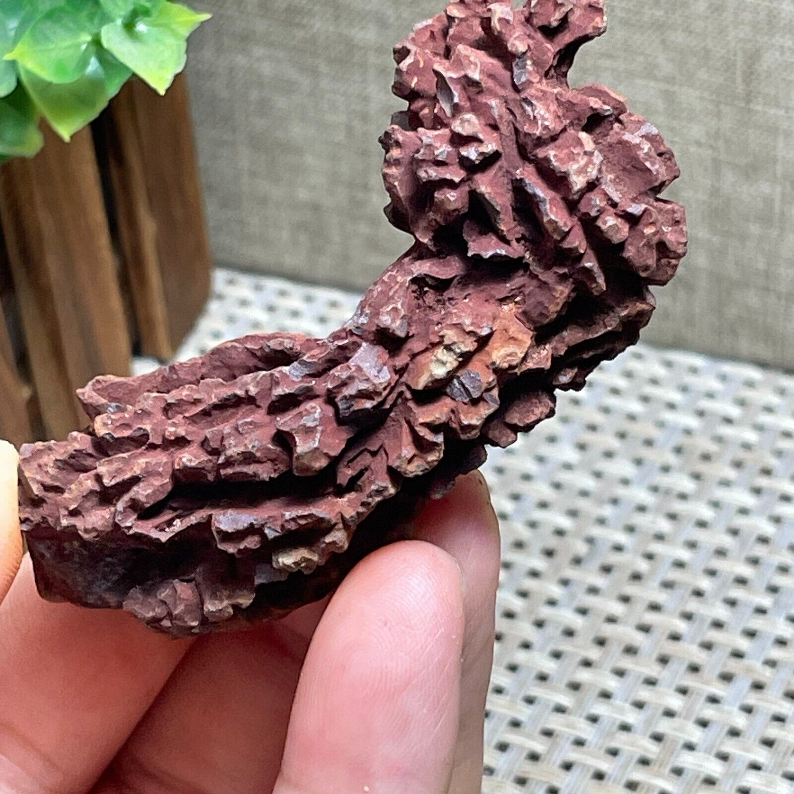 Rare Fecal Dinosaur Coprolite Dung Poop Rough Mineral Specimen 58g A60