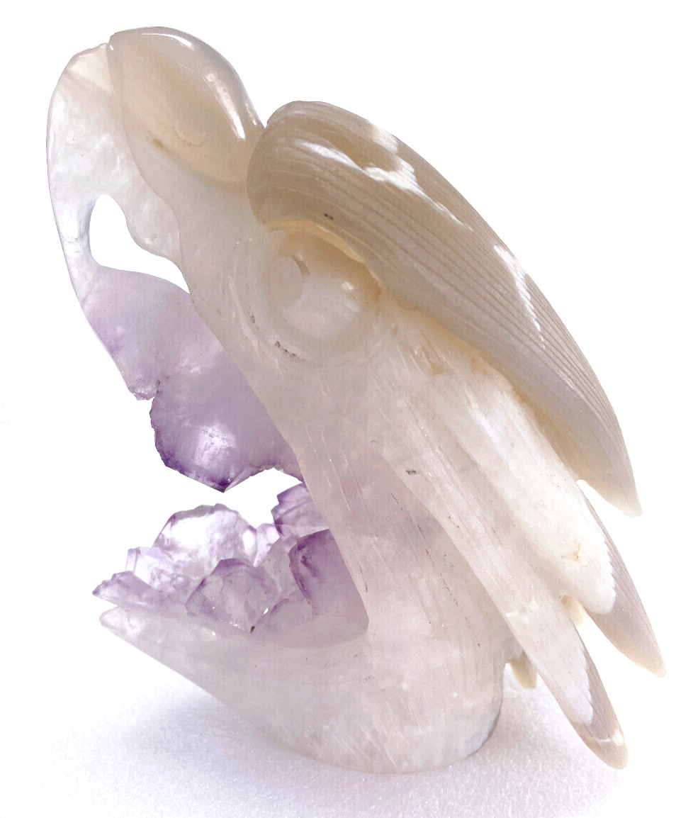 5.4\'\' Agate Amethyst Crystal Eagle Skull , Realistic - Skulls Gemstone & Crystal