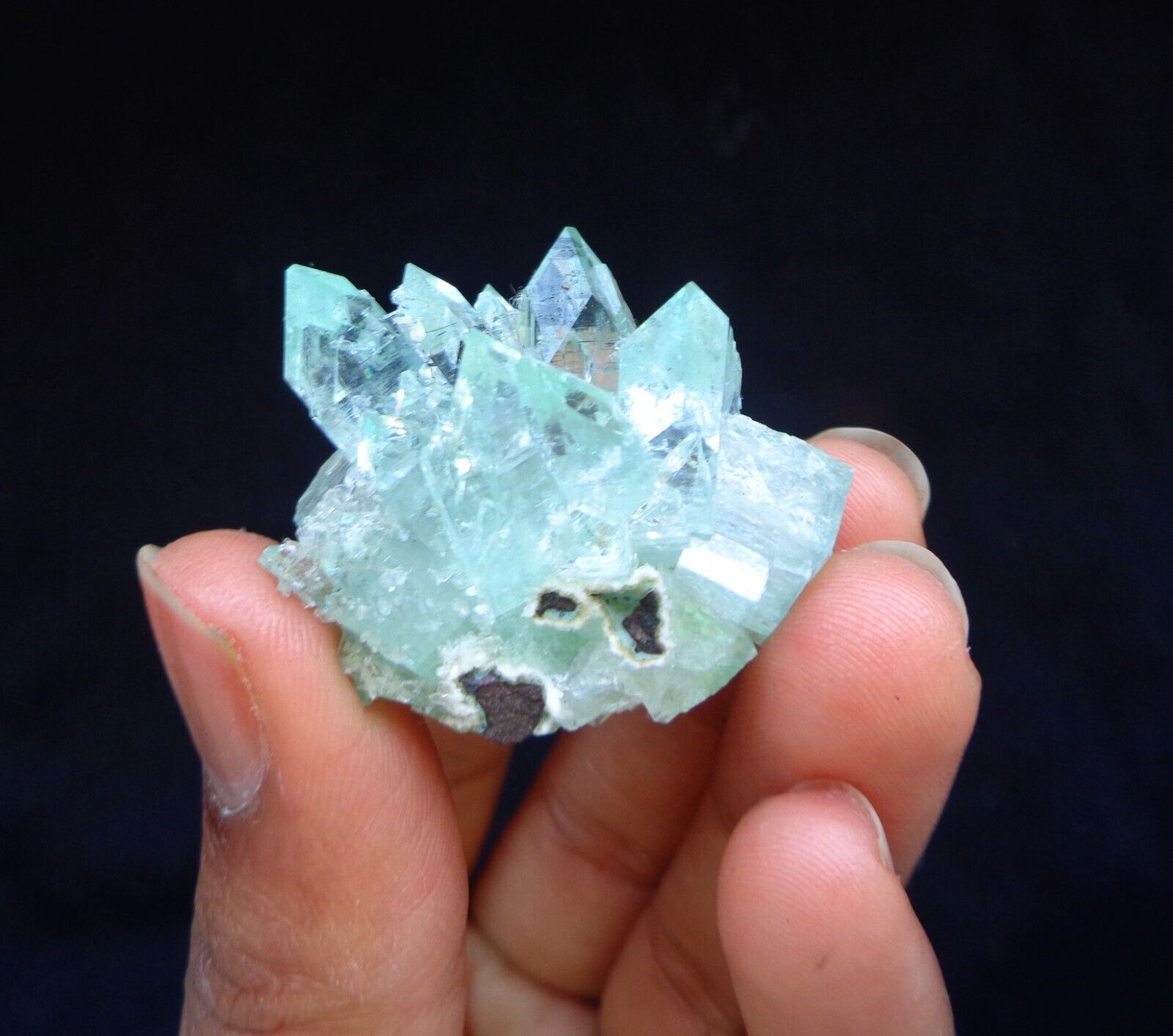 Green Apophyllite Crystals Minerals Specimen