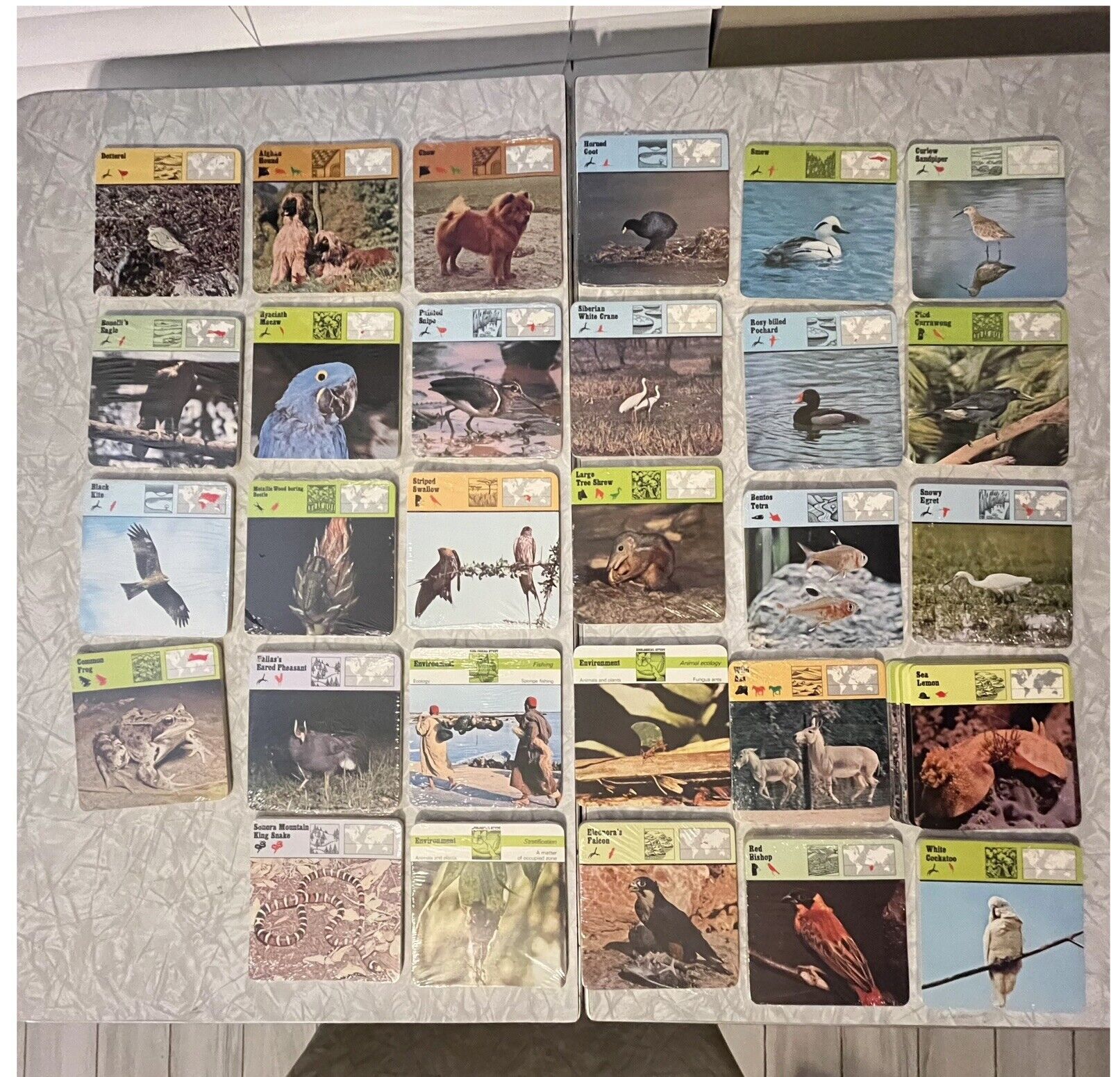 Vintage Rencontre Wildlife Animal Cards 694 Cards 29 Unopened Packages