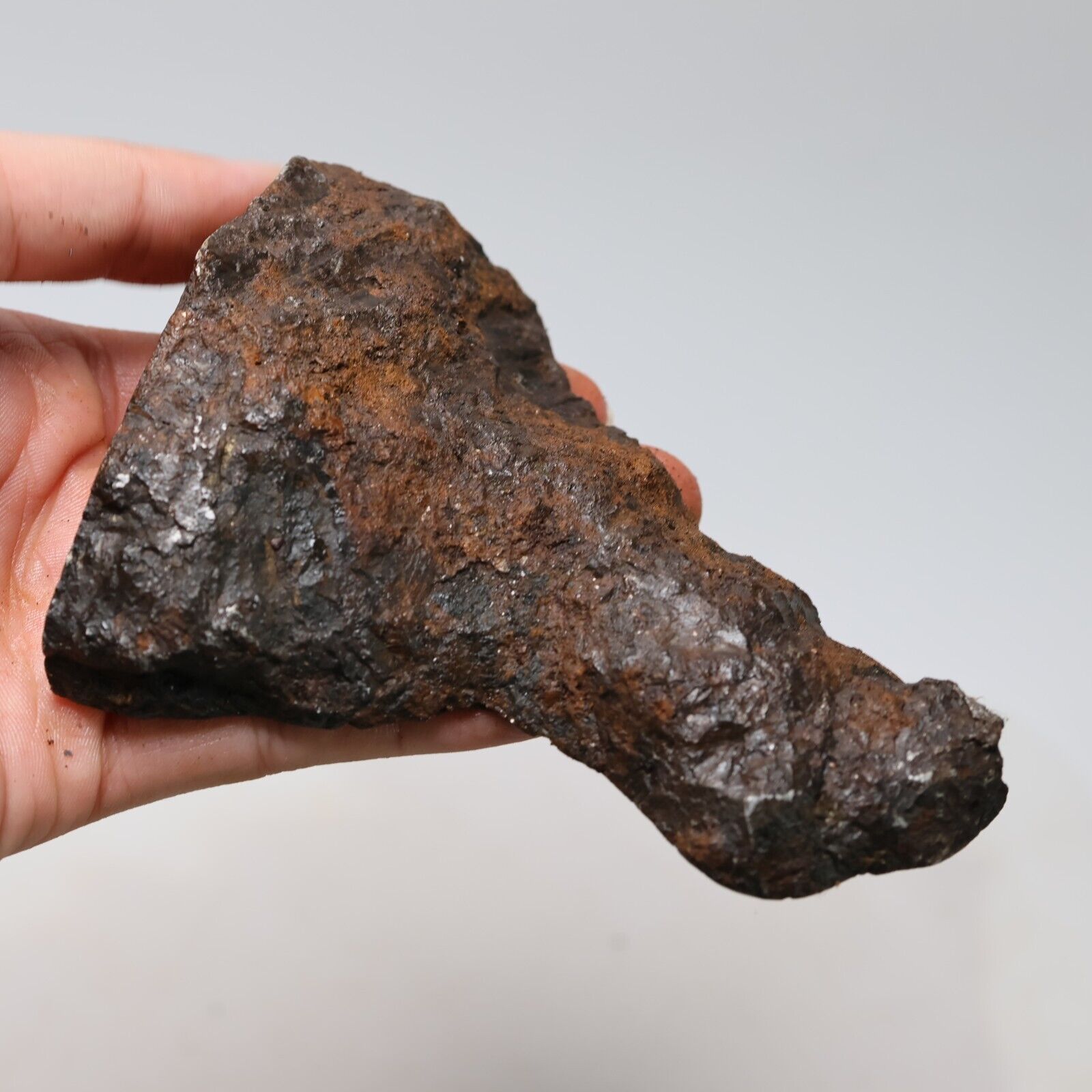 542g Muonionalusta meteorite part slice  A1829