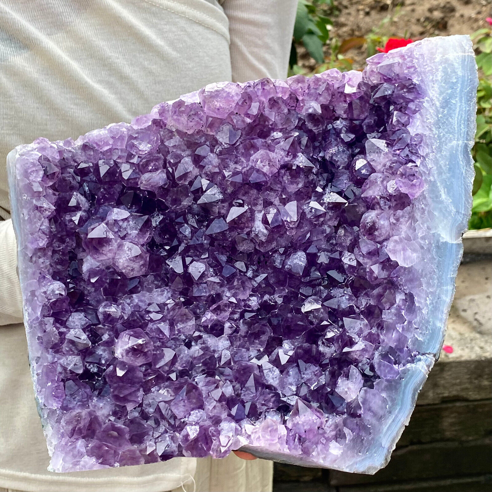 8.8LB Natural Amethyst geode quartz cluster crystal specimen Healing.