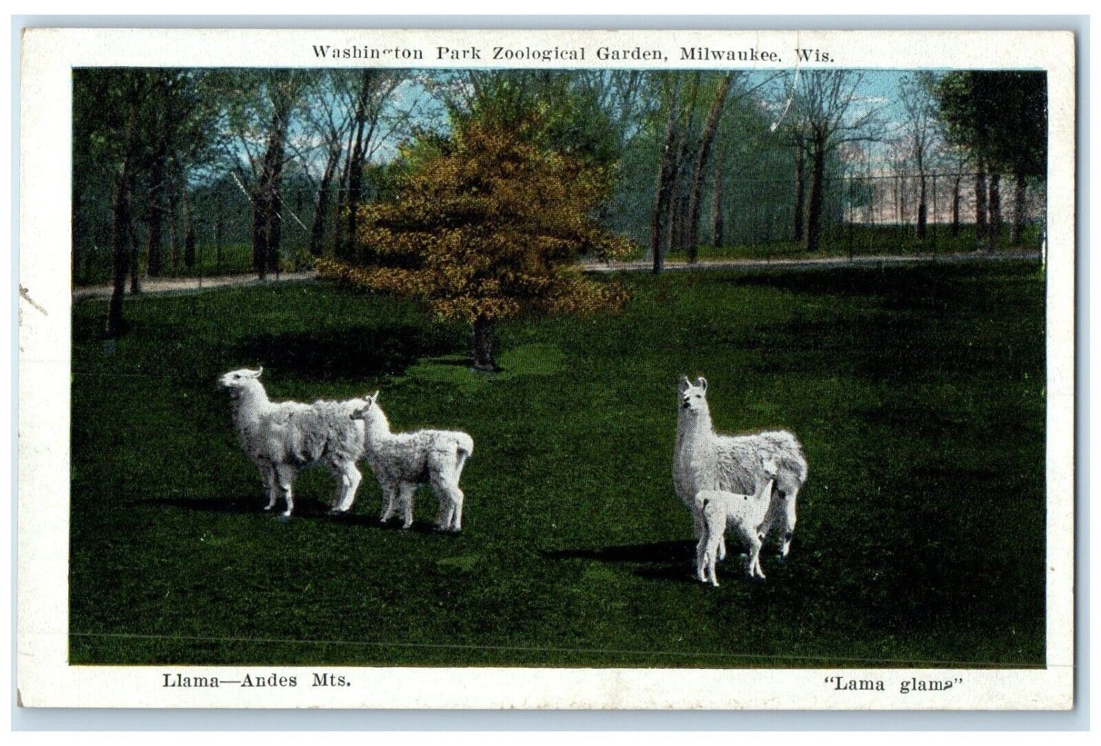 c1910's Washington Park Zoological Garden Milwaukee Wisconsin WI Postcard
