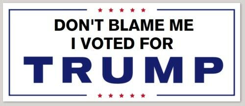 DON'T BLAME ME I VOTED FOR TRUMP bumper sticker decal republican 2024