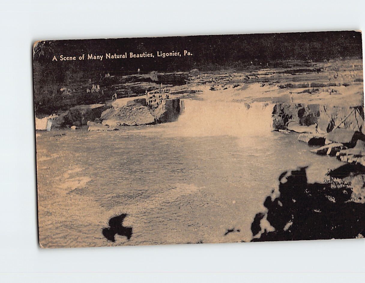 Postcard A Scene of Many Natural Beauties Ligonier Pennsylvania USA
