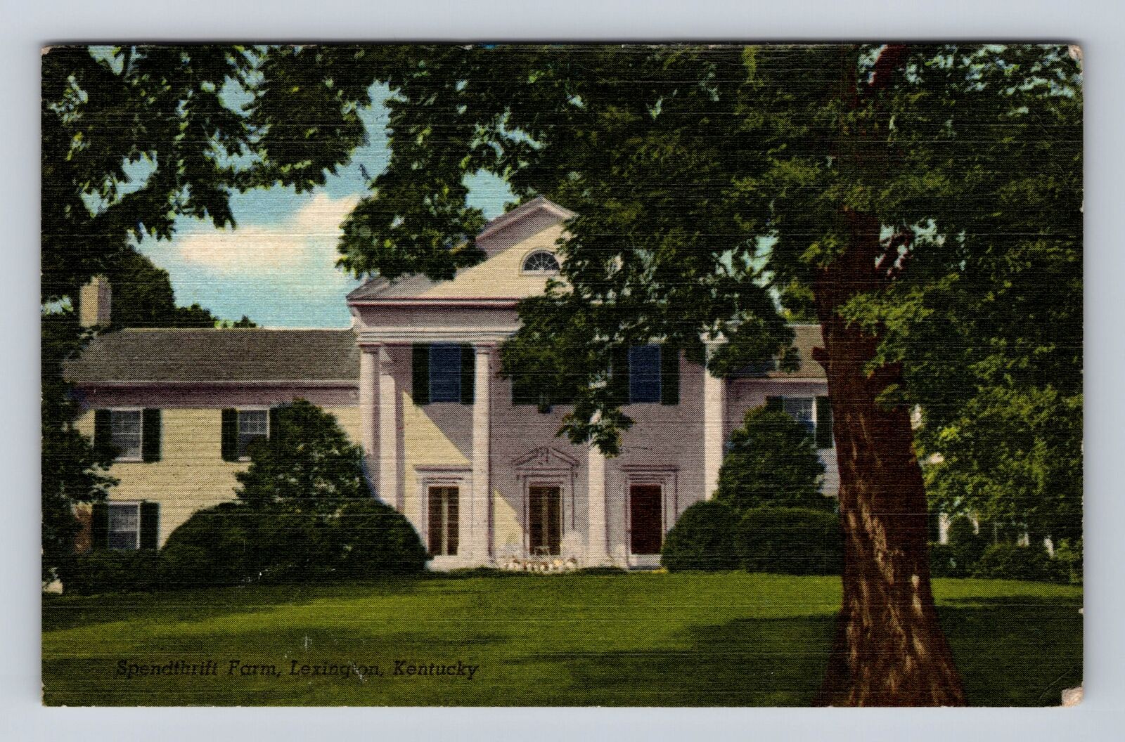 Lexington KY-Kentucky, Spendthrift Farm, Antique, Vintage c1958 Postcard