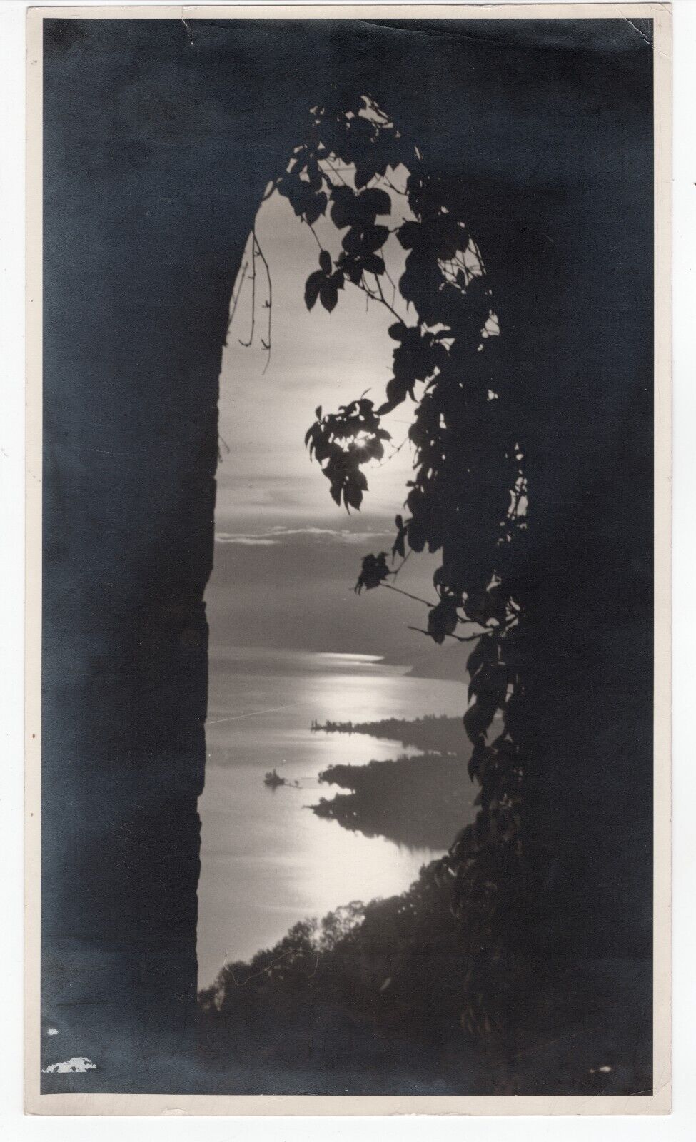 Original August Sander Abstract Silhouette View Rhineland Looking to Lake  1920s
