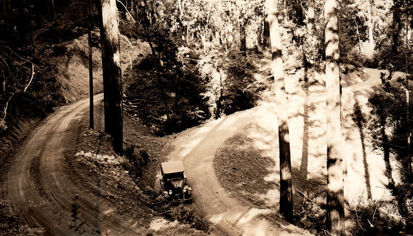 Antique Automobile Winding Forest Logging Road Rppc Real Photo Postcard