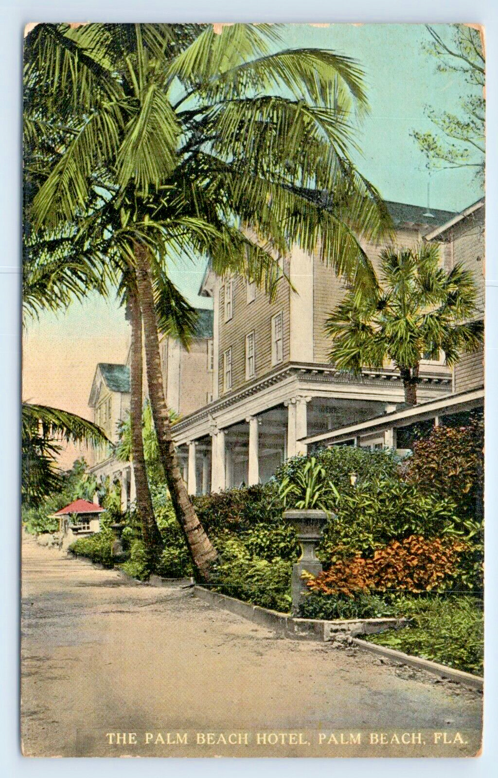 Postcard The Palm Beach Hotel Palm Beach Florida