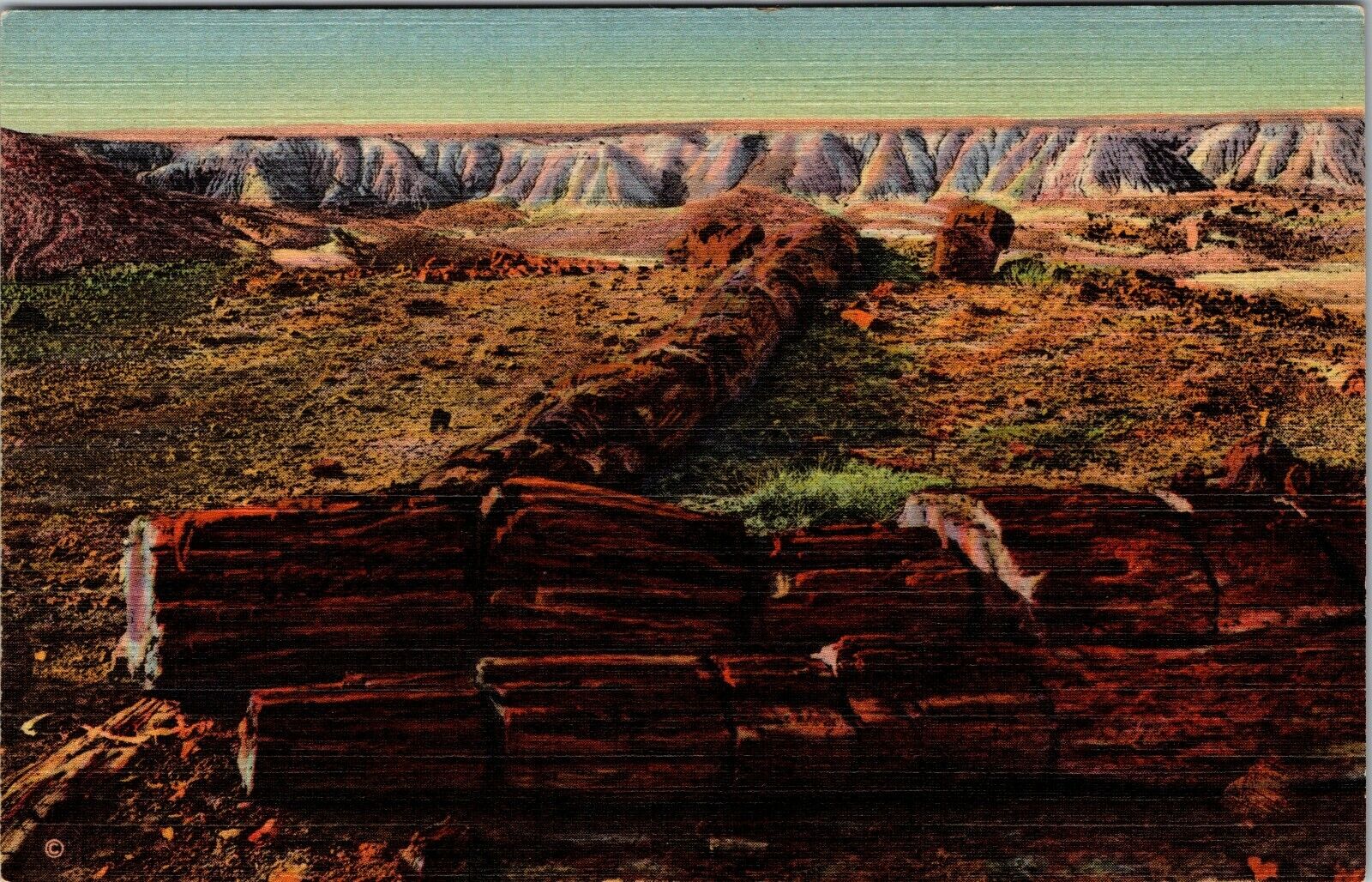 Arizona Petrified Forest Twin Sisters In Second Forest Vintage Postcard 