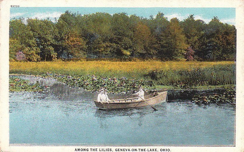 Postcard Among Lilies Geneva on Lake OH