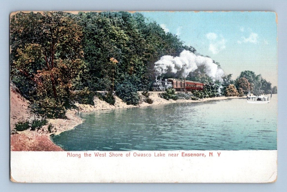 1906. WEST SHORE OF OWASCO LAKE. ENSENORE, NY. POSTCARD DM1