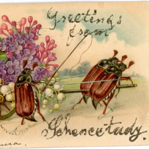 Postcard Anthropomorphic Ricksha Beetles Insects Lilacs Flowers Mica Glitter