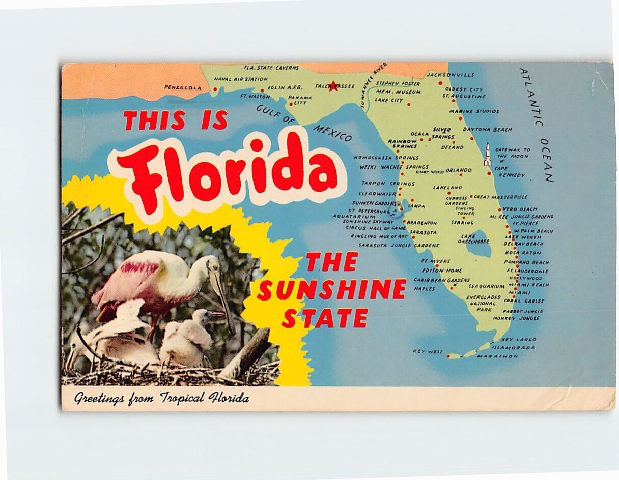 Postcard Greetings from Tropical Florida USA