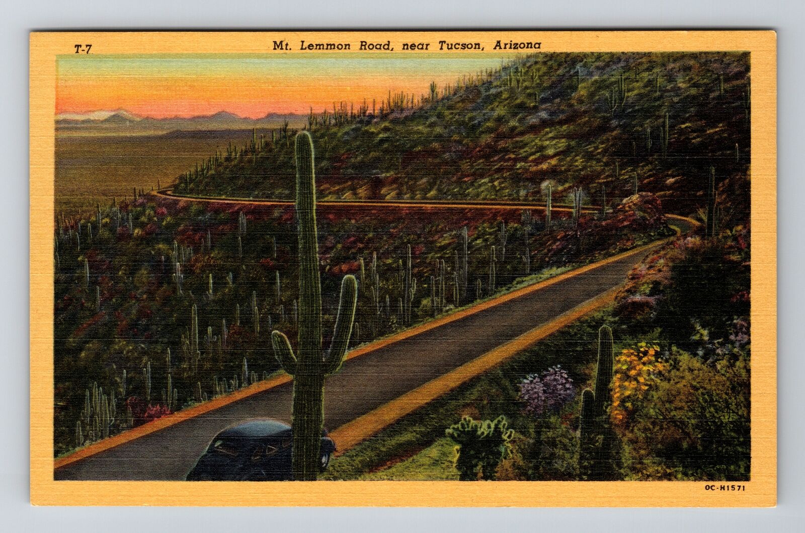 Tuscan AZ-Arizona, Mt. Lemmon Road, Vintage Postcard