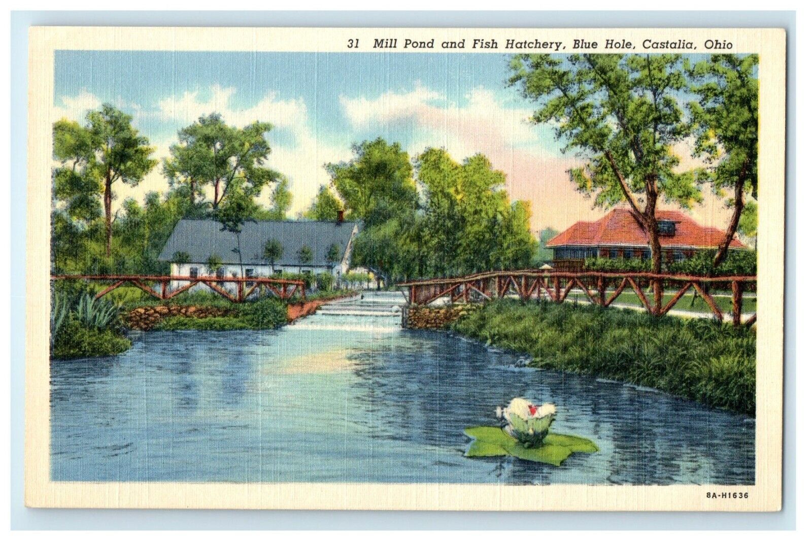 c1940\'s Mill Pond And Fish Hatchery Blue Mole Castalia Ohio OH Vintage Postcard