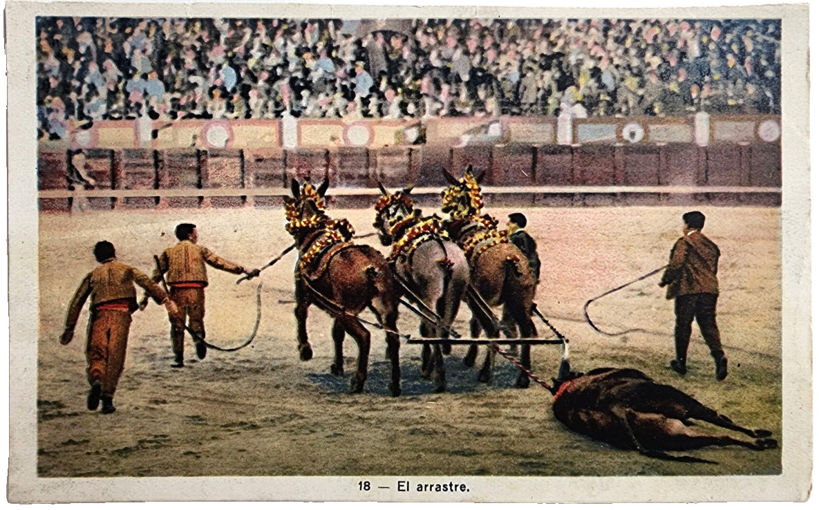 Mexico c1910 Postcard El Arrastre The Drag Bull Fighting