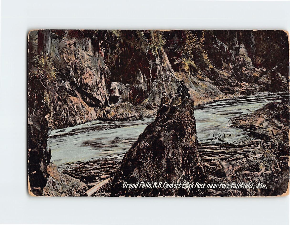 Postcard Grand Falls NB Camels Back Rock near Fort Fairfield Maine USA