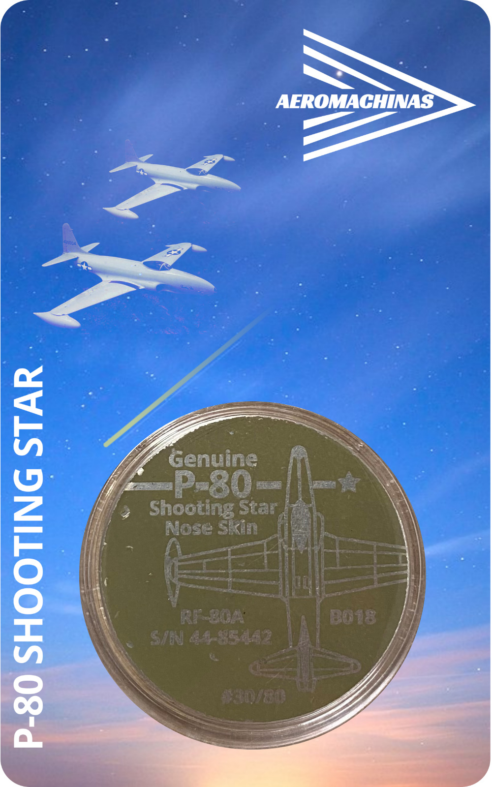 P-80 Shooting Star Fighter Jet Skin Challenge Coin S/N 44-85442