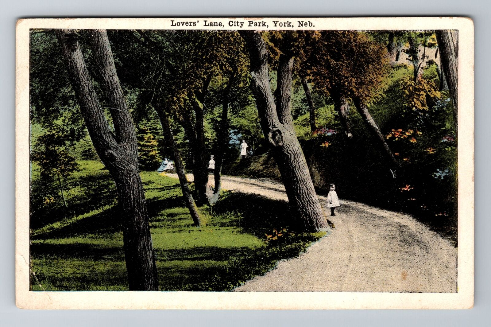 York NE-Nebraska, Lovers Lane, City Park, Antique Vintage Souvenir Postcard