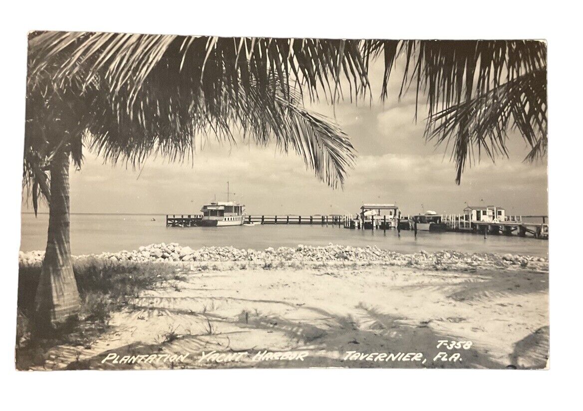 RPPC Tavernier FL Plantation Yacht Harbor Pier Dock Palms photo postcard FP7