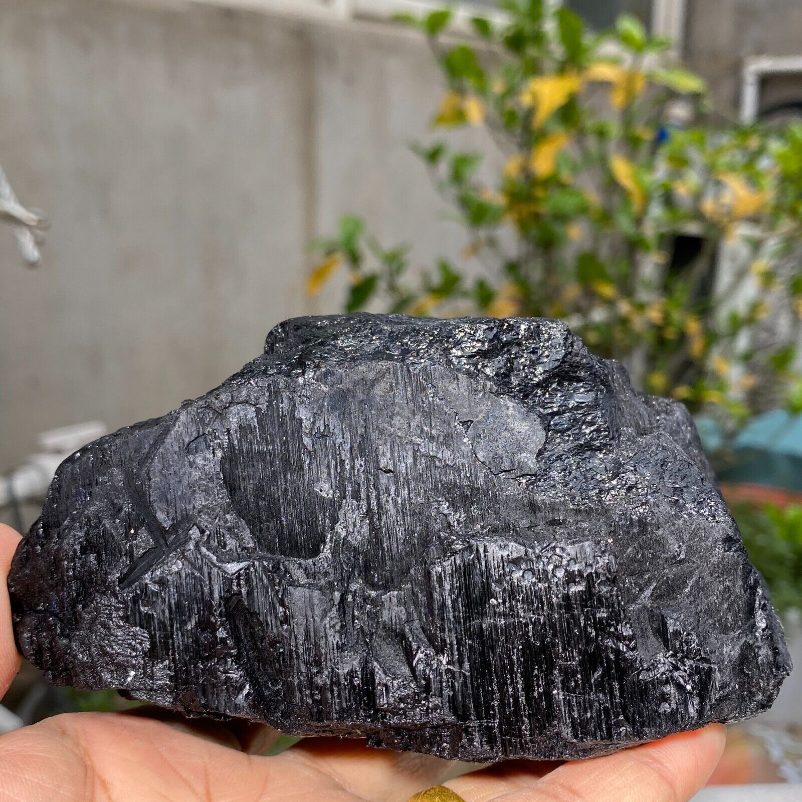 1145g Large Glossy Black Tourmaline Natural Crystal Gemstone Healing Specimen