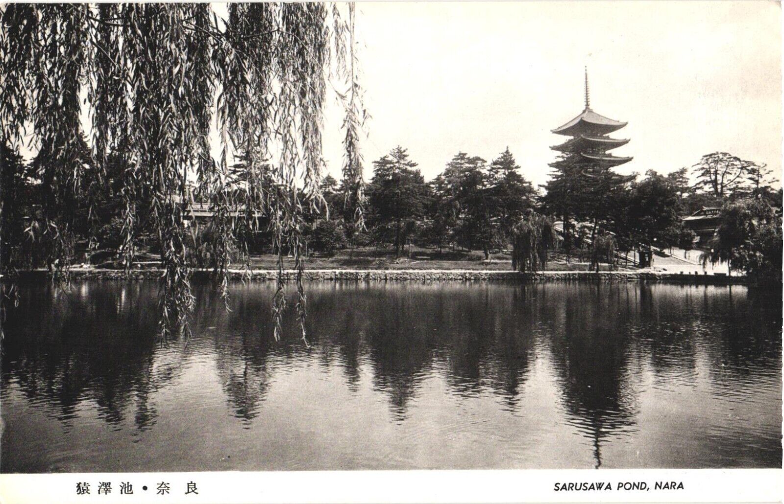 A Serene View of Sarusawa Pond With Pagoda At The Back Nara Park, Japan Postcard