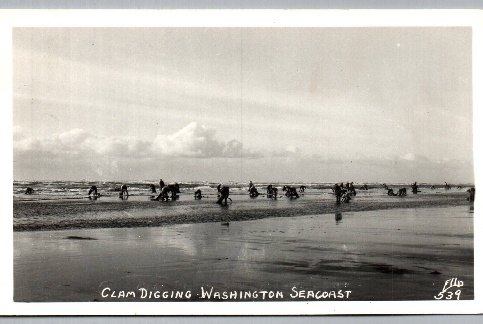 RPPC Clam Digging on Washington Pacific Coast Ocean Beach Real Photo WA Postcard