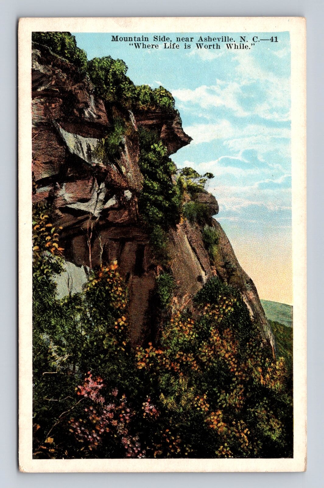 Asheville NC-North Carolina, Mountain Side, Antique Vintage Souvenir Postcard