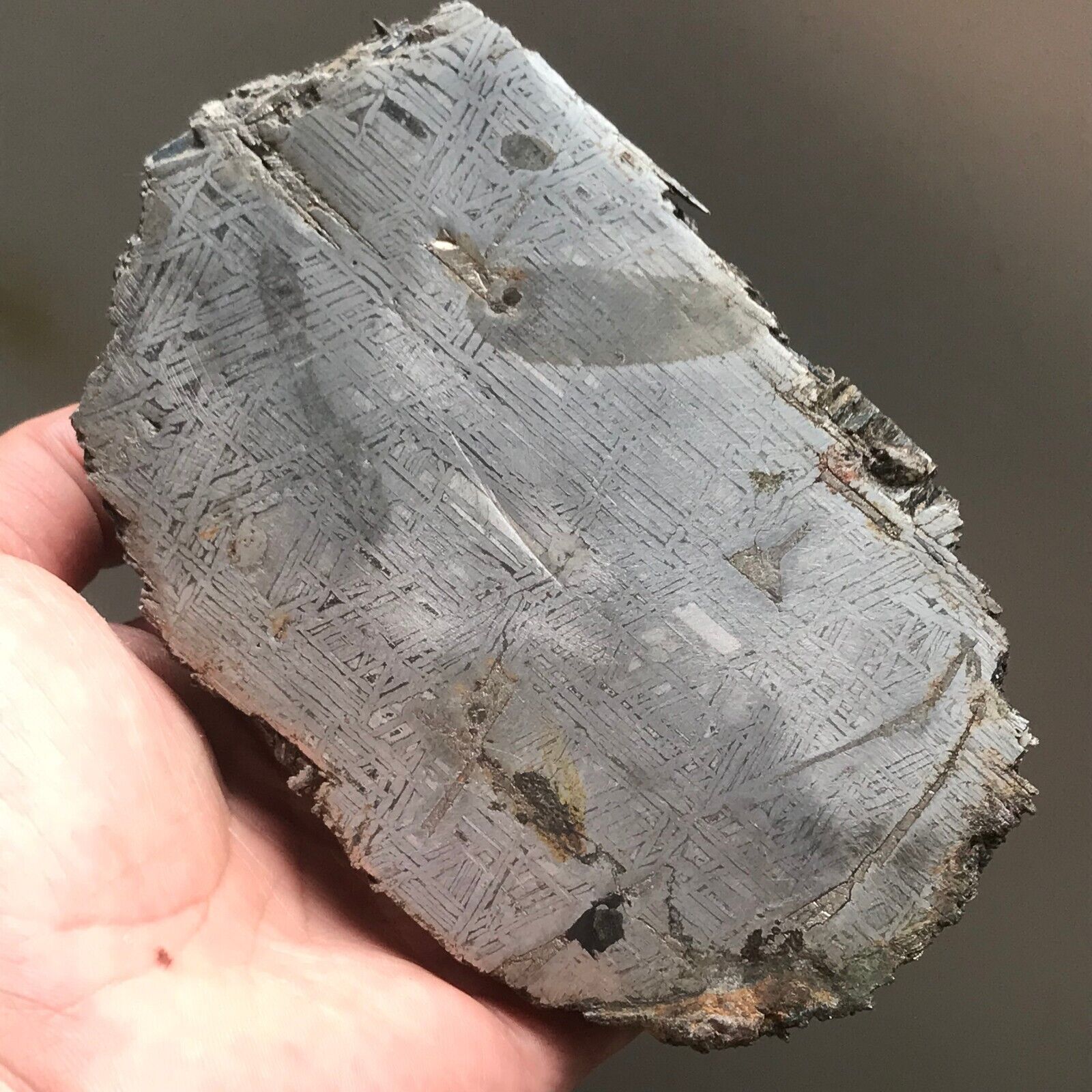 100% Aletai Iron Meteorite End-Cut Etched 1726.6 Grams Fusion Crust Sealed Glaze
