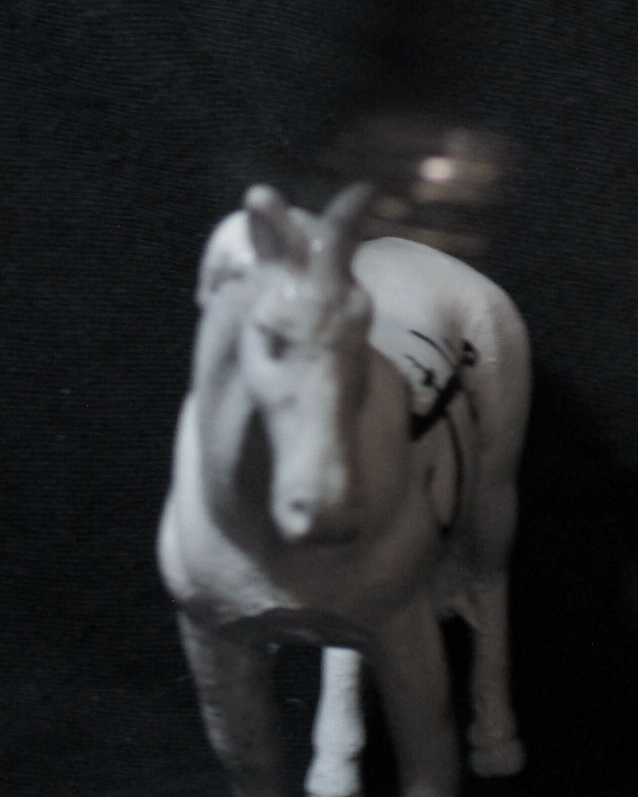 haunted plastic horse spell cast by 13 witches Asteria Anael lust demon powers