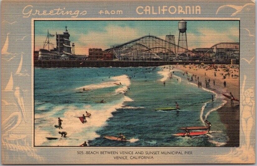 VENICE, California Postcard 