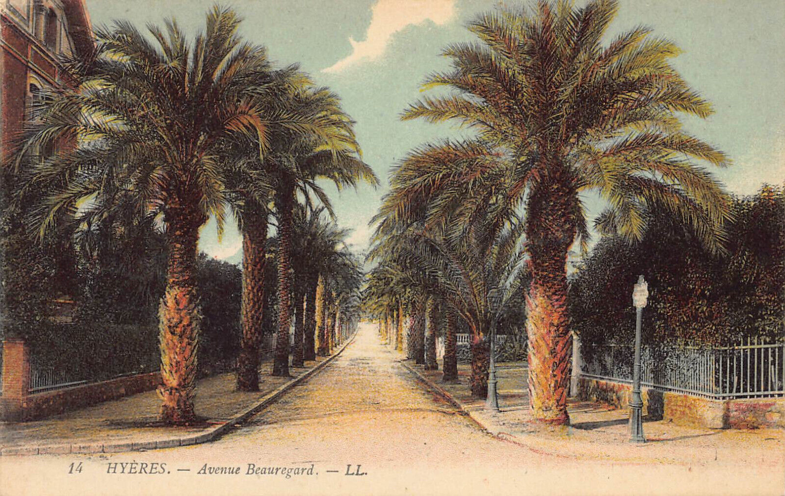 Hyères France, Avenue Beauregard postcard Provence-Alpes-Côte d'Azur, Palm Trees