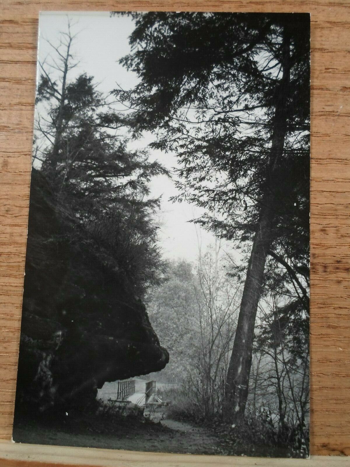 Grand Ledge Mi Mich Michigan, Floeter Studio, early real photo postcard 