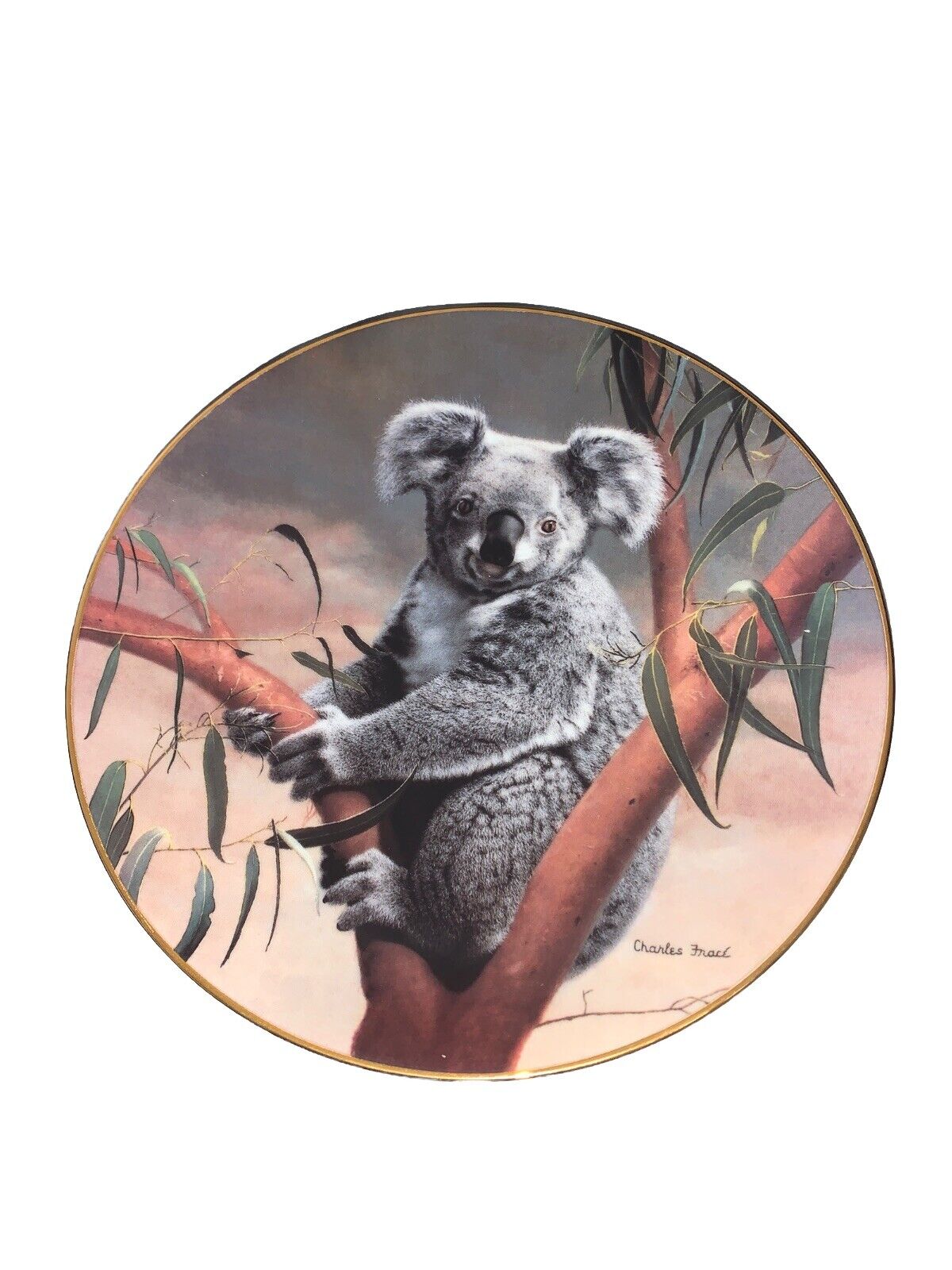 Charles Frace Collector Plate Bradex The Koala Bear 1990 Ltd Edition