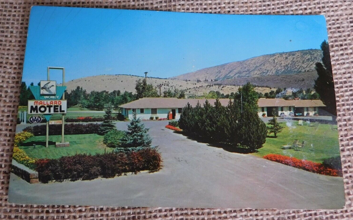 OREGON  Mallard Motel Klamath Falls Oregon Vintage Postcard