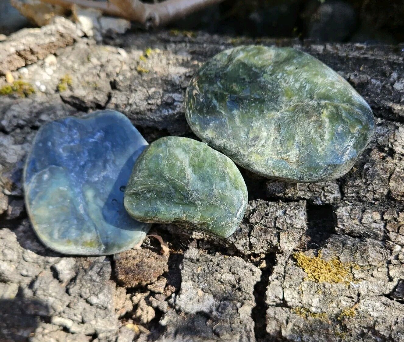 Three Jade Nephrite Rough Big Sur Willow Creek area California 192 Grams