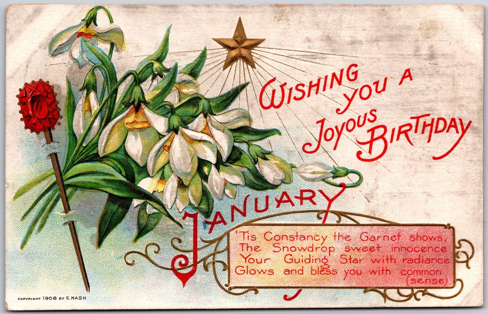 1909 Wishing You A Joyous Birthday January Flower Bouquet Greeting Postcard