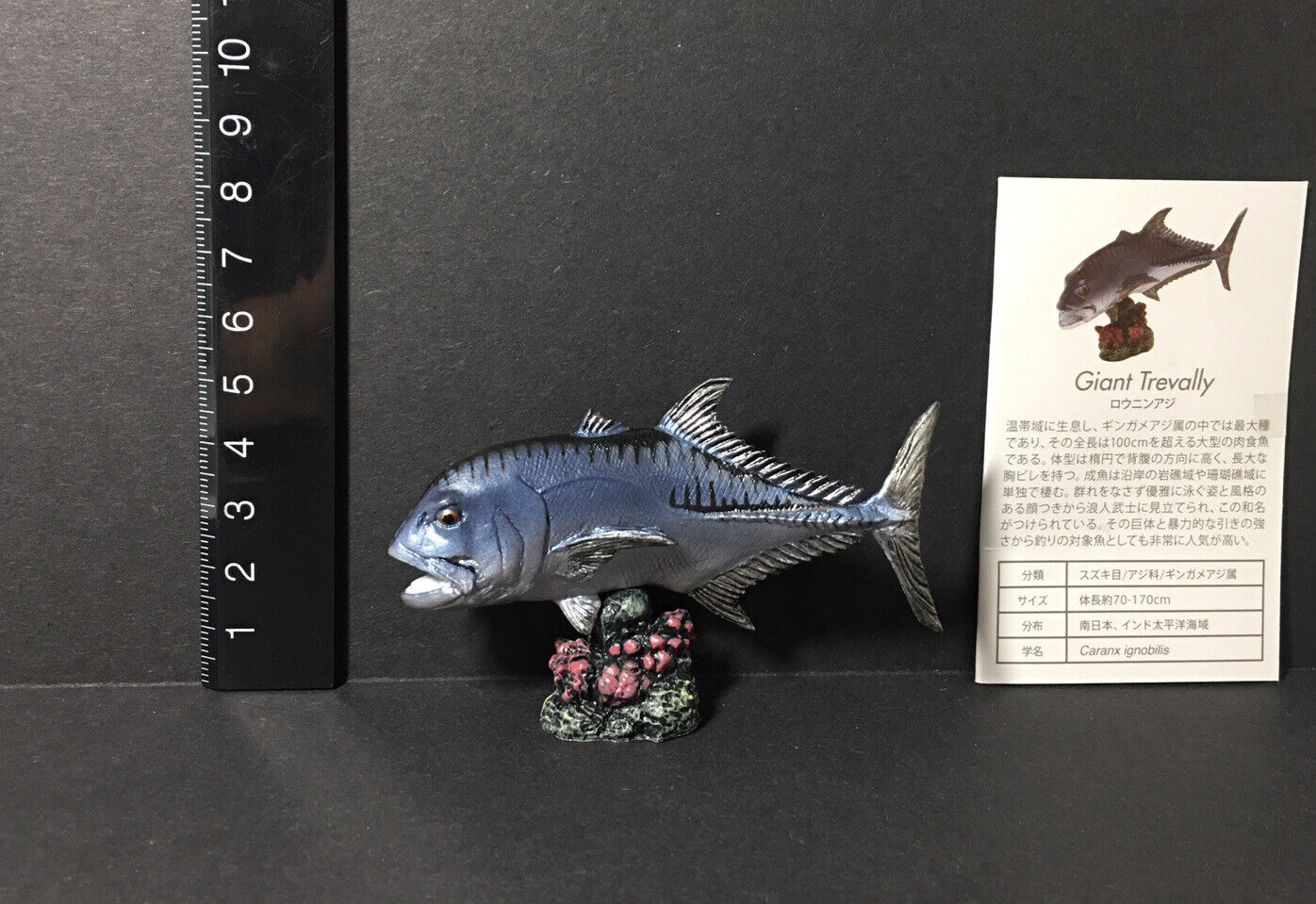 Kaiyodo Favorite Giant Trevally AQUA FISH Mini Model Figure