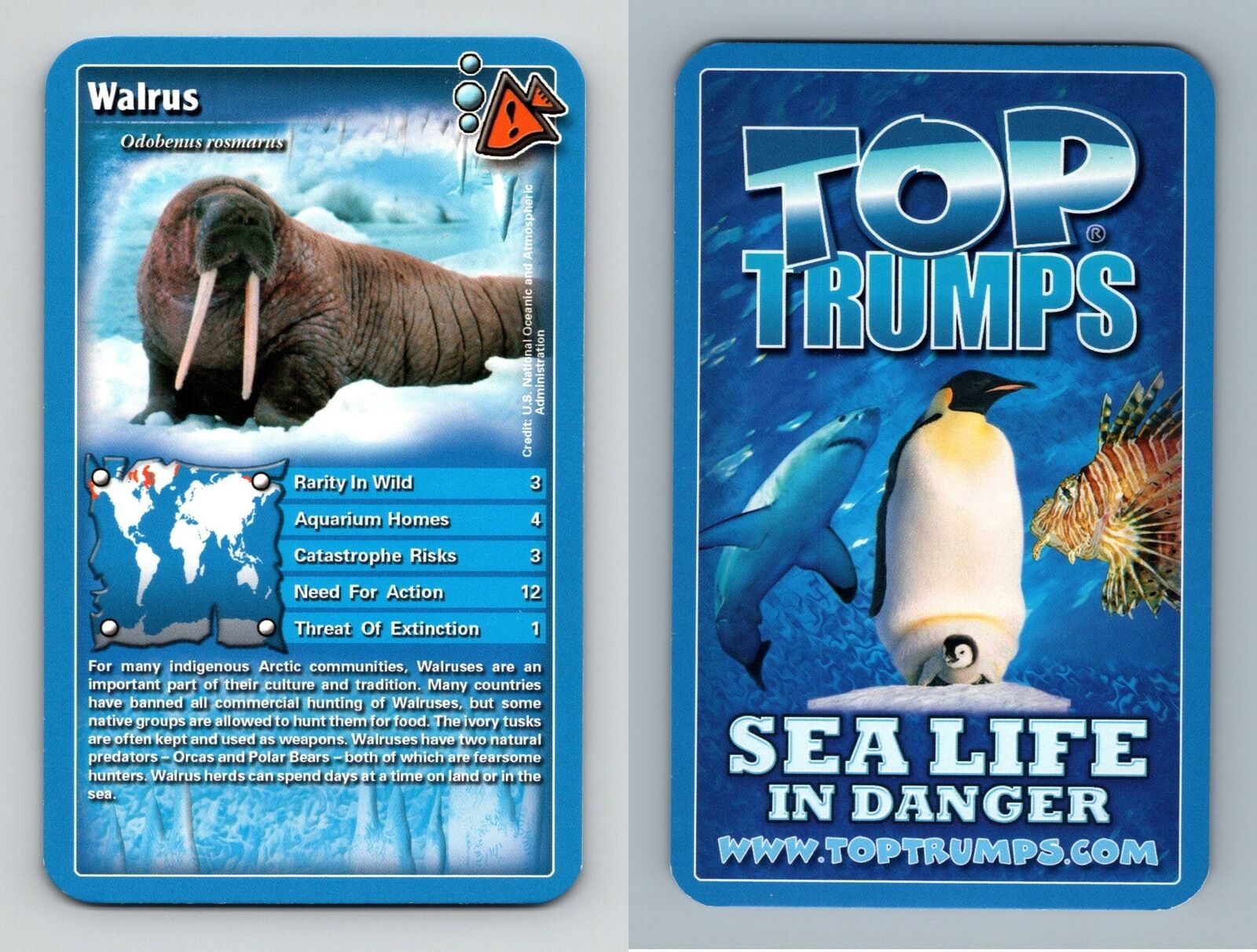 Walrus  - Sea Life In Danger 2008 Top Trumps Card