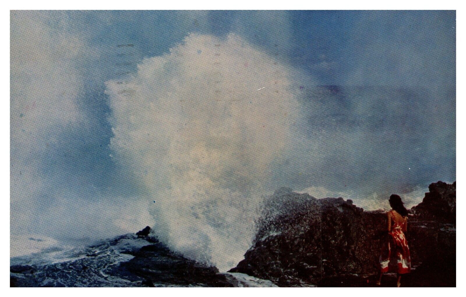 Hilo HI Hawaii Oahu Blow Hole Posted 1954 Chrome Postcard