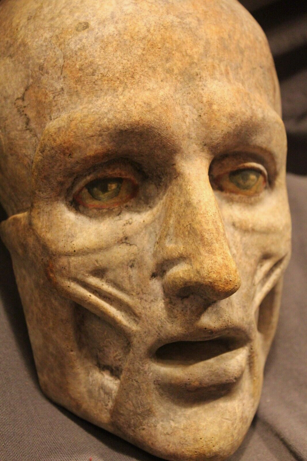 Death Mask Head Face Anatomical Painted Eyes Medical Oddity Doctor PostMortem