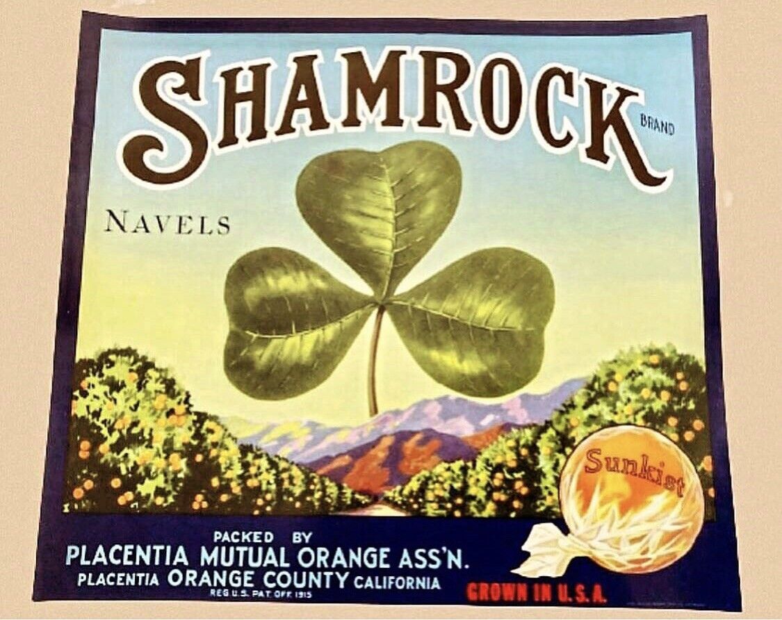 NOS Vintage Sunkist Shamrock Navel Oranges Crate Label Placentia California