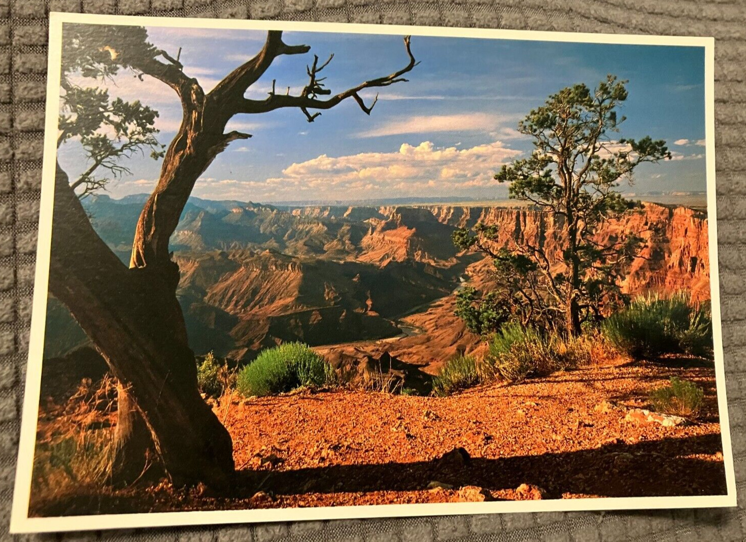 VTG Continental Postcard - Grand Canyon National Park View of Colorado River